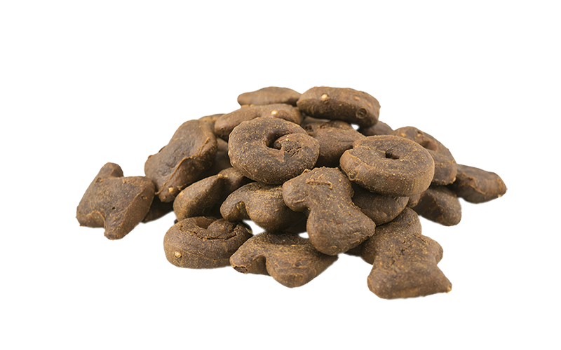 Natural Greatness Snack cane TACCHINO FRESCO, ZUCCA, PATATA DOLCE E QUINOA gr 100