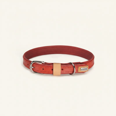 Camon Collare in Cuoio Sintetico Rosso 25x550 MM
