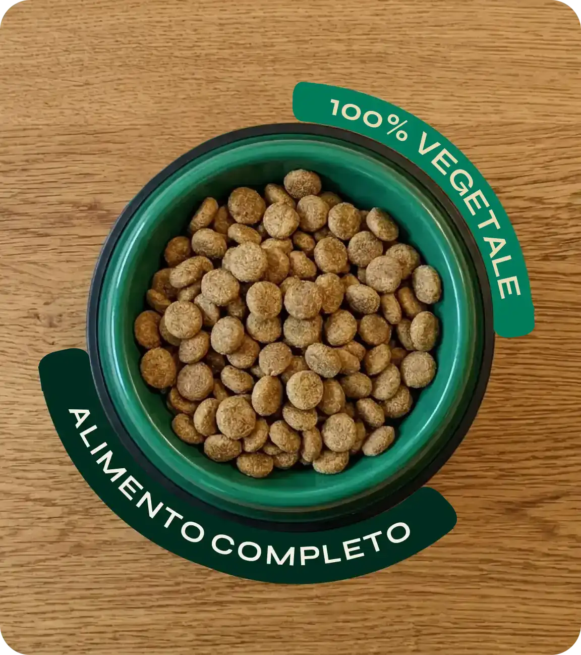 Proggy plus medio maxi crocchette cane piselli e alga clorella 2,2kg