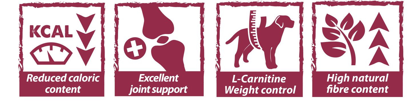 Natural Greatness Obesity Control 2 Kg