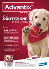 Advantix spot on per cani oltre 10 KG fino a 25 KG conf. da 6 filette