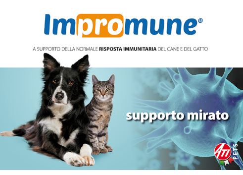 IMPROMUNE® Supporto sistema immunitario 40 compresse