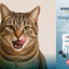 EASYPILL® Gingiva Cat 60 g