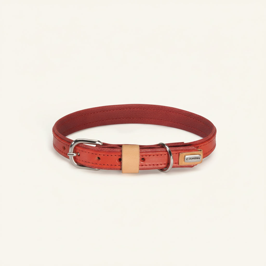 Camon Collare in Cuoio Sintetico Rosso 25x550 MM