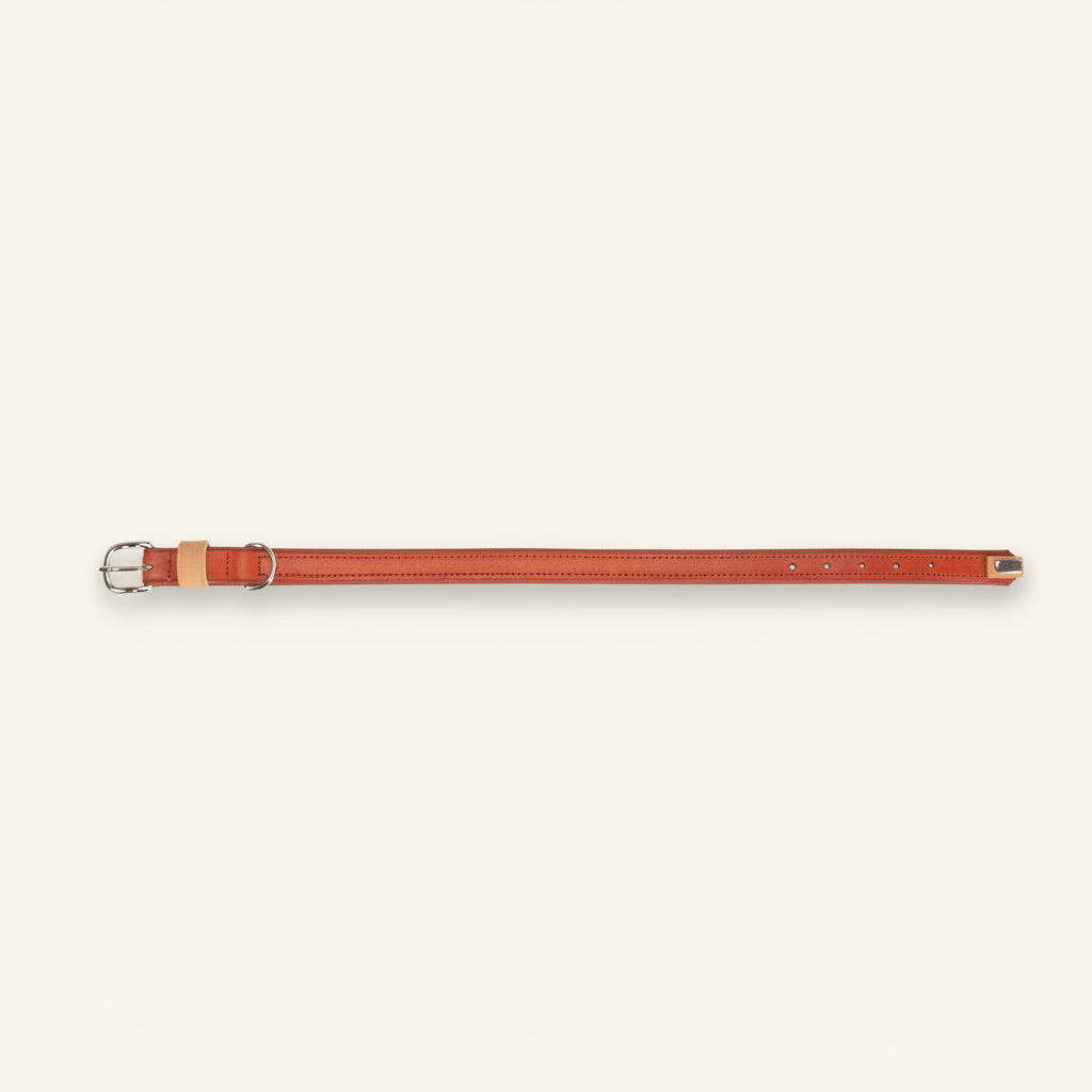 Camon Collare in Cuoio Sintetico Rosso 25x550 MM