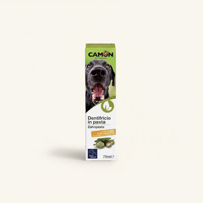 Camon Dentifricio In Pasta 70 Ml