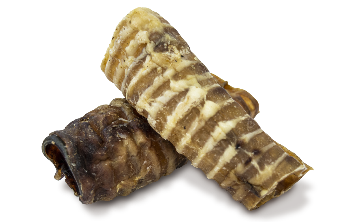 Natural Greatness Snack cane TRACHEA di Vitello (grande)