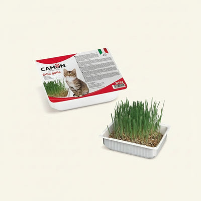 Camon Erba Gatta ai Semi D'Orzo