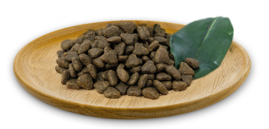 Natural Greatness cat Field & River grain free adult 2kg