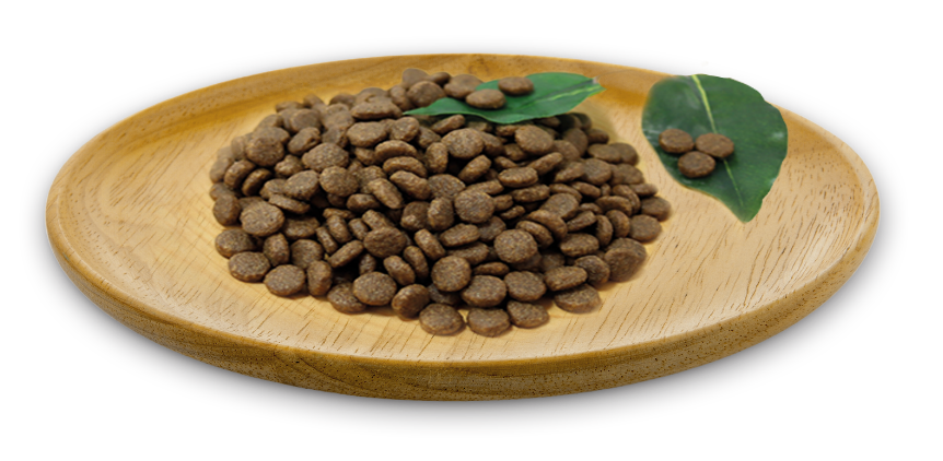 Natural Greatness Wild instinct  mini Cat & kitten da 600gr