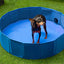 Piscina pieghevole per cani 120cm x 30cm