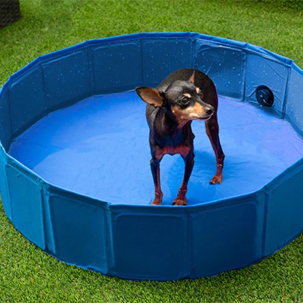 Piscina pieghevole per cani 120cm x 30cm