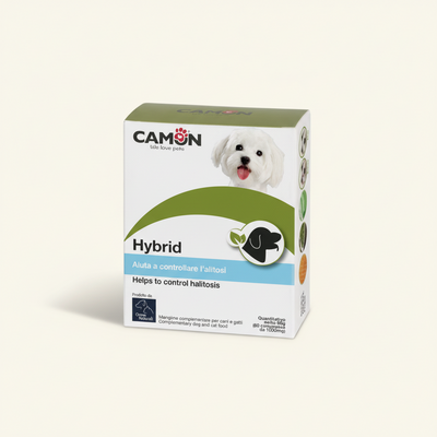 Camon Hybrid 60 compresse